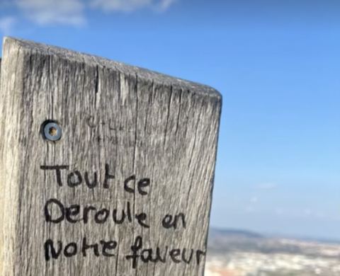 Témoignage écrit 13